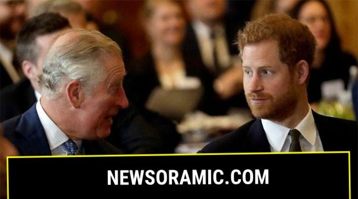 Prince Harry issued strong warning related to reconciliation with King Charles