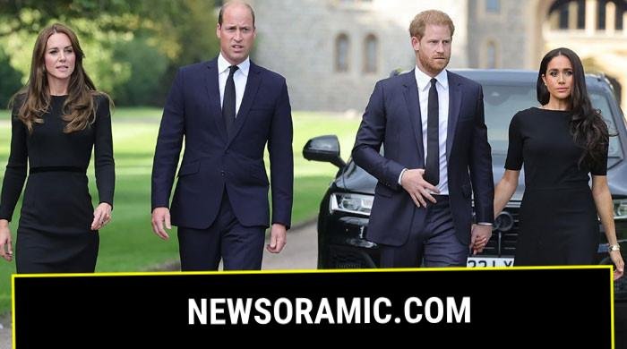 Royal fans react as Prince Harry, Meghan plan to replace William, Kate Middleton