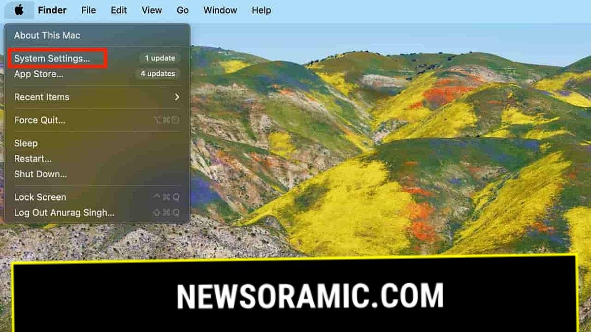 Screenshot showing steps to enable automatic update