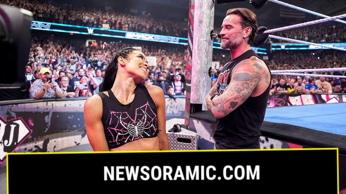 AJ Lee looks at CM Punk